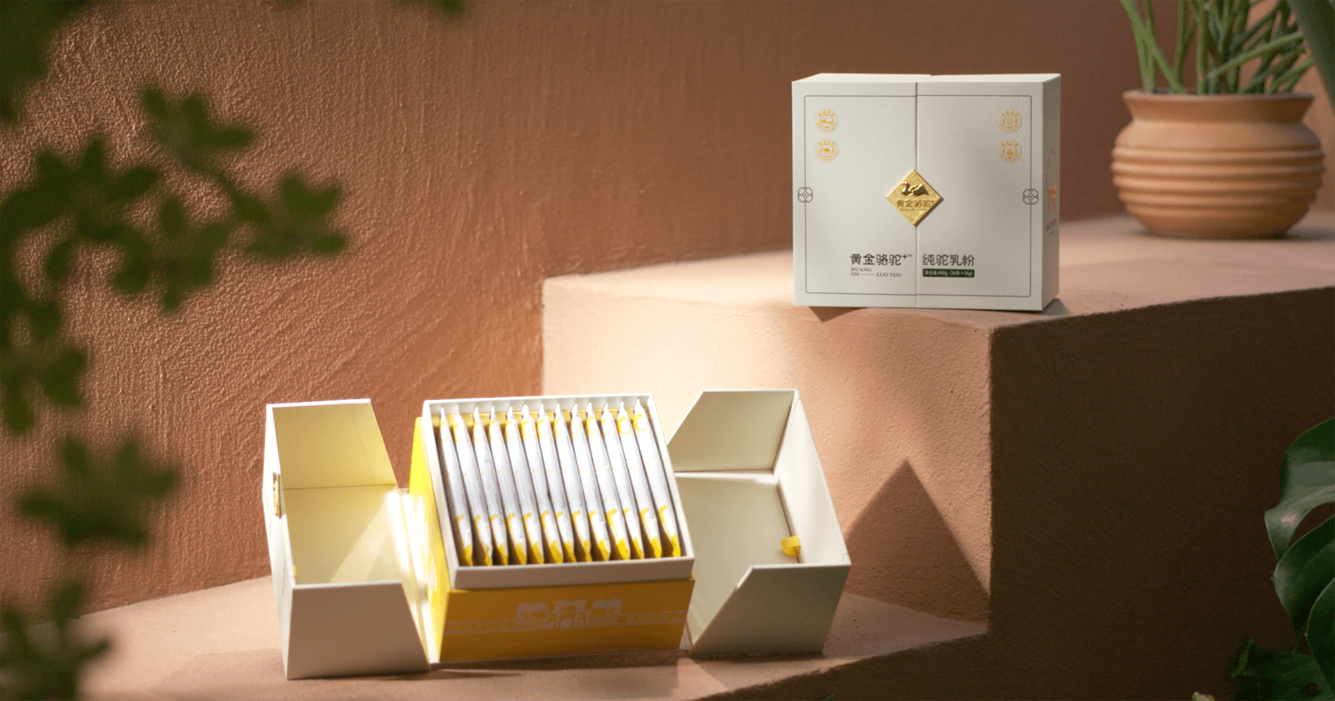 定位小众高端乳粉，彩霸王官网推出驼奶品牌“黄金骆驼+”，角逐乳品新市场！