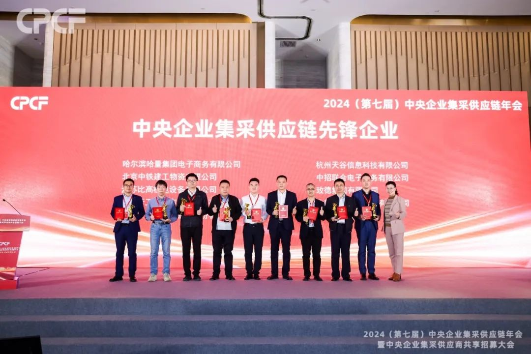 喜报！彩霸王官网荣获2024年度（CPCF）中央企业集采供应链年会先锋企业荣誉称号